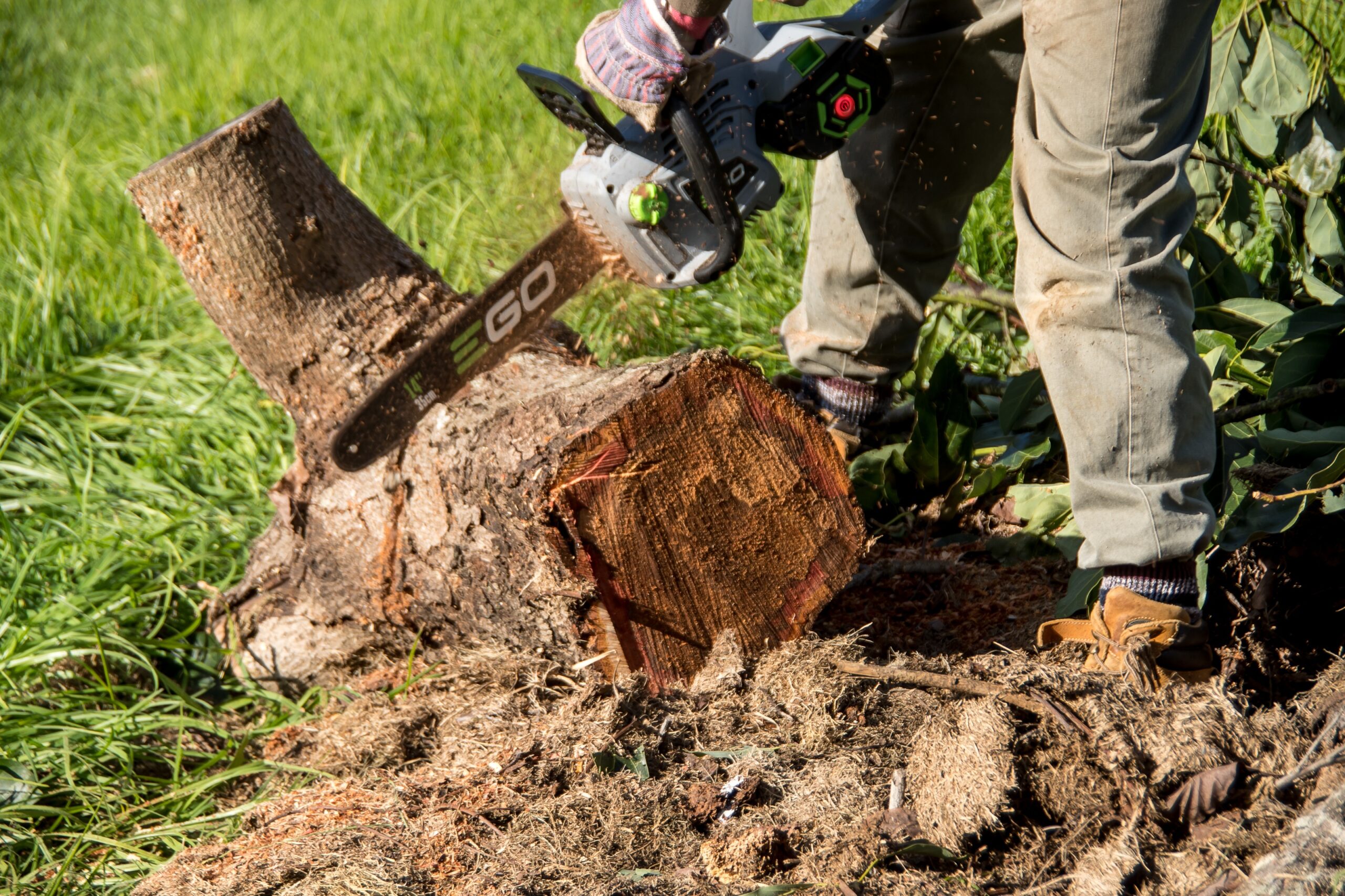 chainsaw-4297912